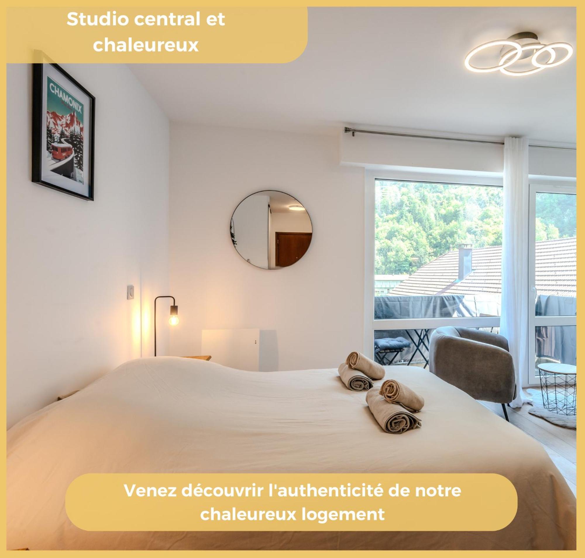 Chez Max I Studio I Cluses Ngoại thất bức ảnh